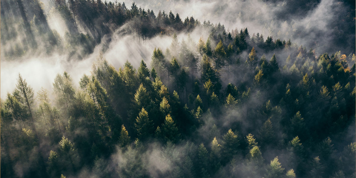 vlaga-u-vazduhu vlaga-u-vazduhu